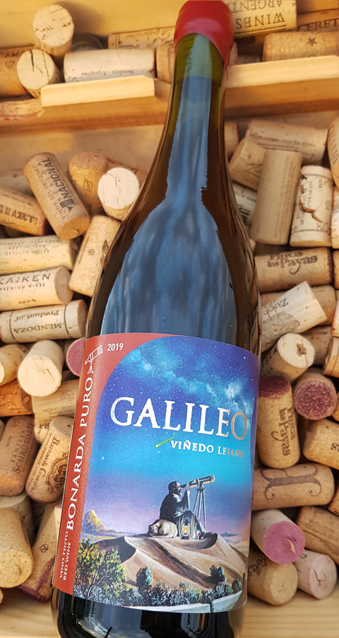 GALILEO BONARDA PURO RVA ( 1500 botellas )