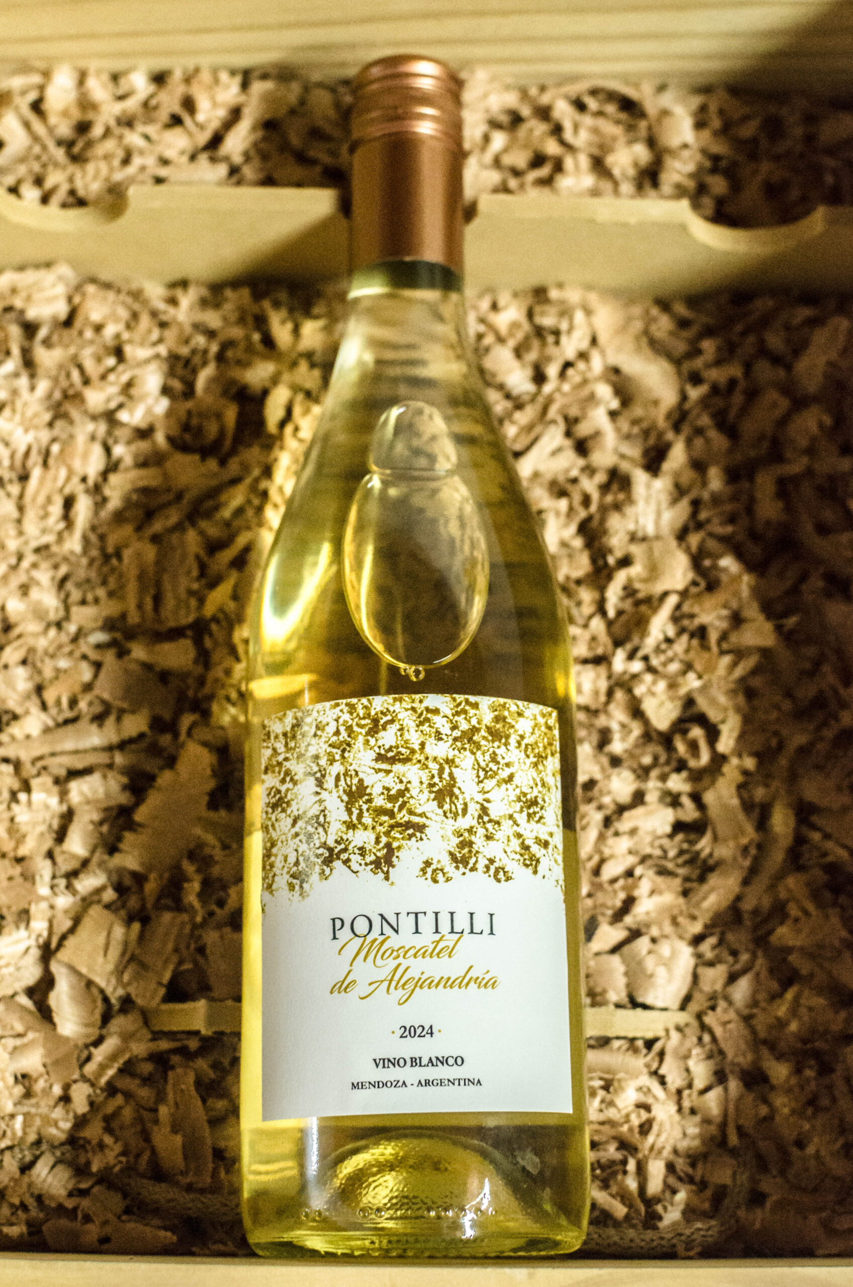 PONTILLI MOSCATEL DE ALEJANDRIA 2024