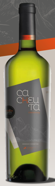 CACHEUTA RESERVA CHARDONNAY